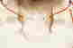 item-131939842=2