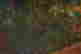 item-133855699=3
