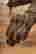 item-137505892=5
