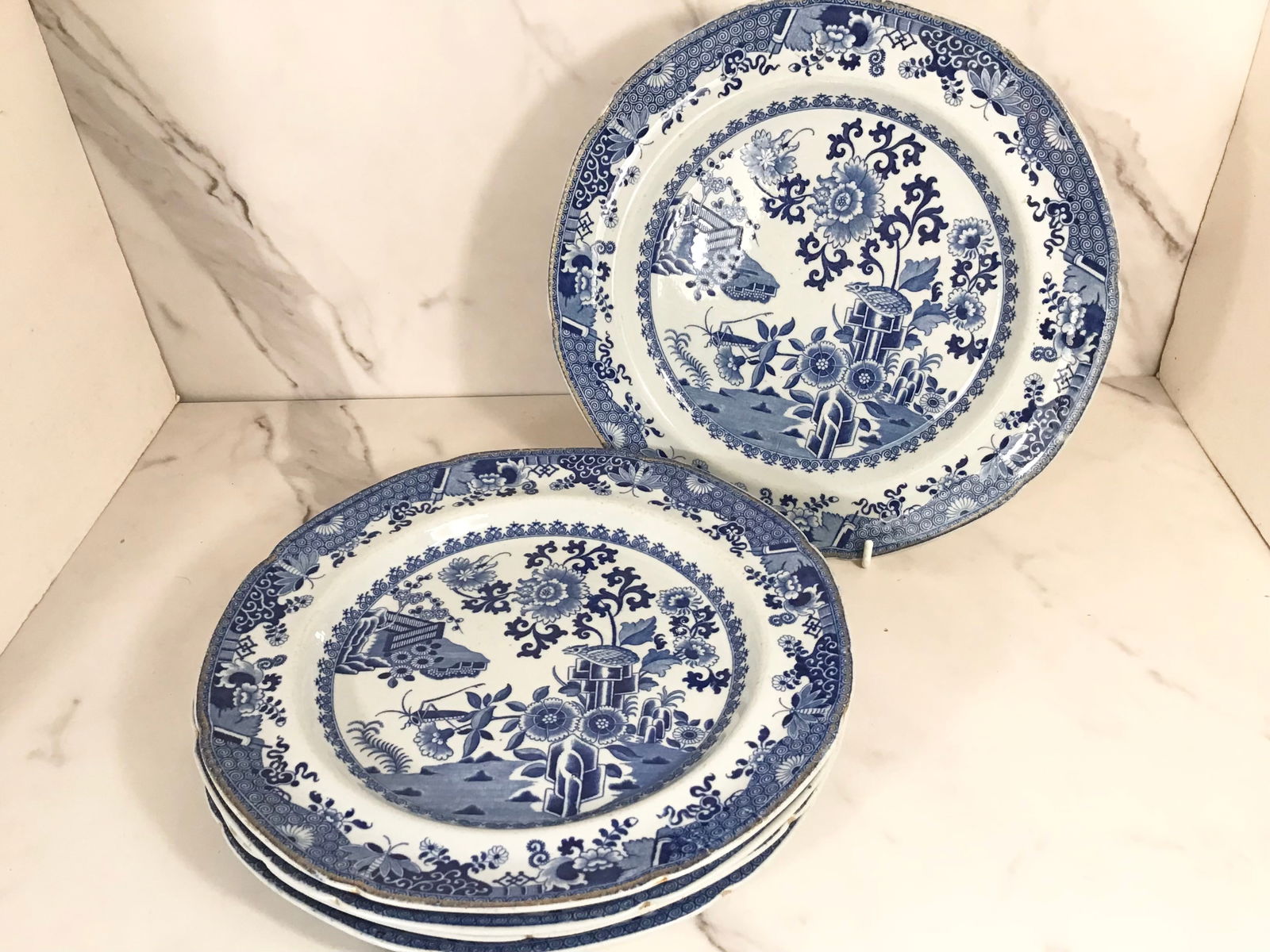 5 Spode Blue and White CRICKET Plates with Scalloped Border: 9.5" with remnants of old gilding