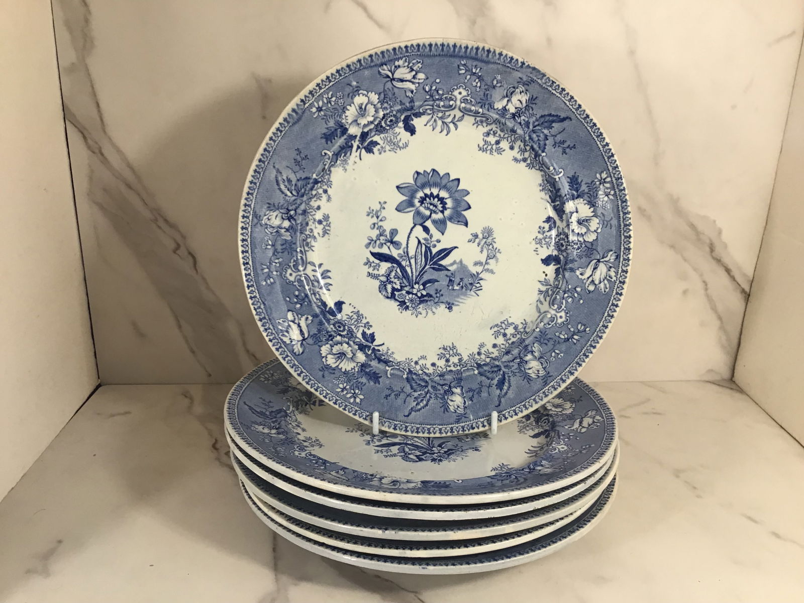 6 English Pearlware Blue and White BOTANICAL BEAUTIES Dinner Plates: 10" round
