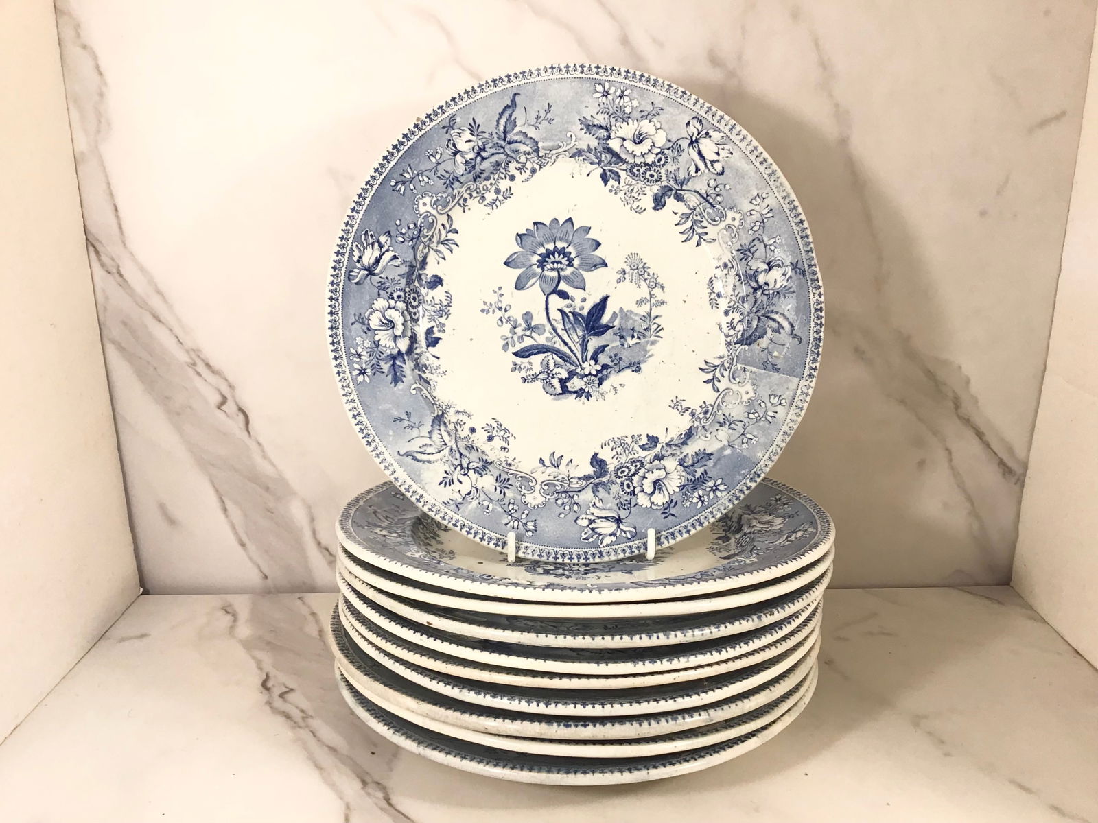 10 English Blue and White Transferware BOTANICAL BEAUTIES Plates (1 of 2)