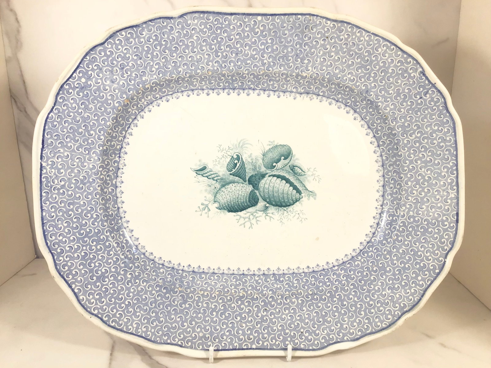 English Blue and White Green Seashell Platter CONCHOLOGY: 14.75" wide, surface wear.