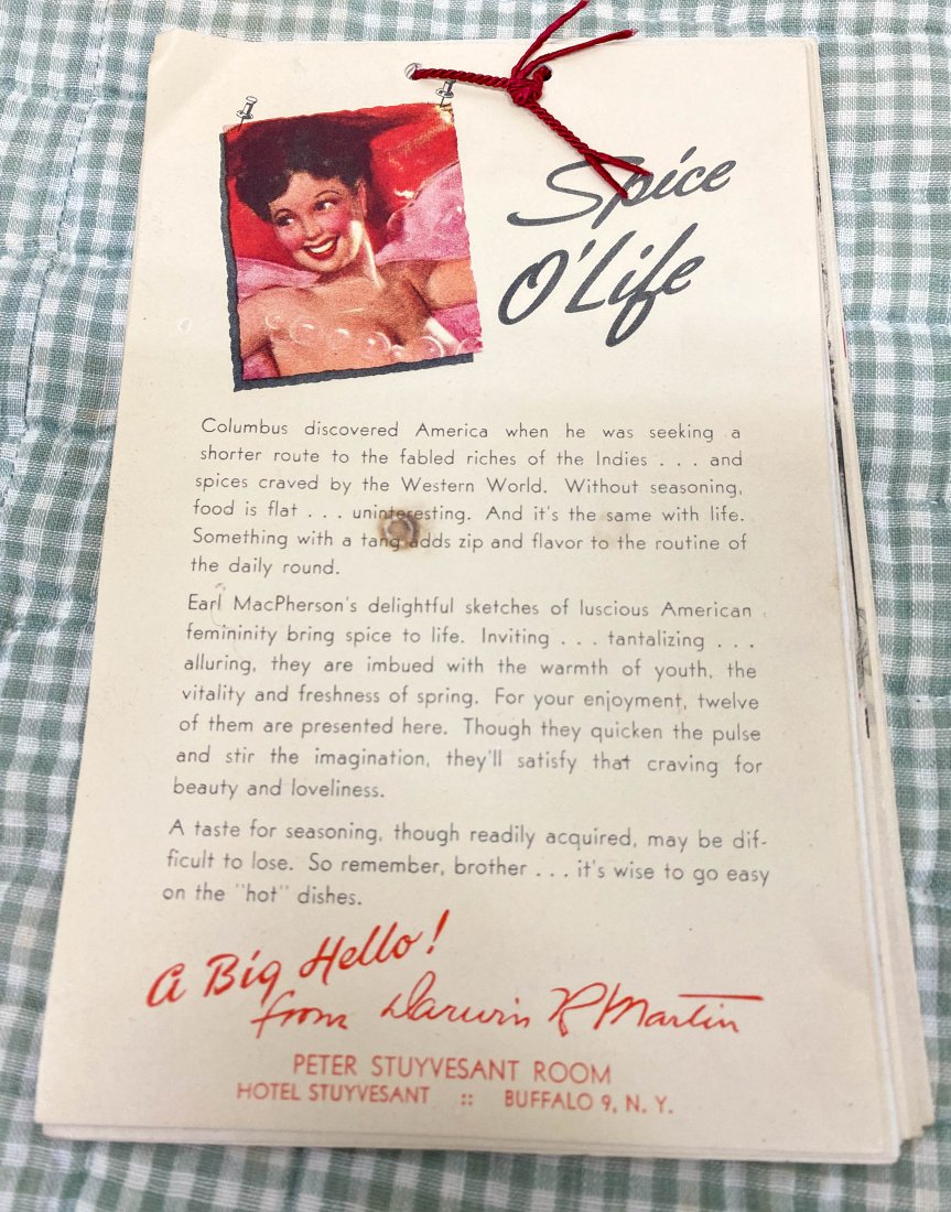 Rare Earl MacPherson PinUp Stuyvesant Hotel NY: Rare Earl MacPherson PinUp Stuyvesant Hotel NY with Napkin and Envelope. WOW!