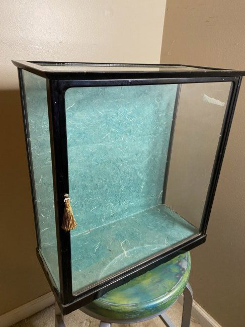 ANTIQUE DOLL DISPLAY CASE (1 of 5)