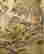 item-100606163=5