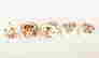 item-112053572=2