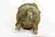 item-130338000=7