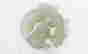 item-130338130=4