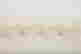 item-130338173=1