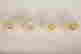 item-130338173=6