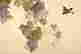 item-130338206=5