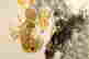 item-130338220=4