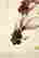 item-130338222=6