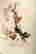 item-130338224=1