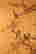 item-130338265=4