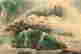 item-130339939=5