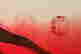item-130428763=6