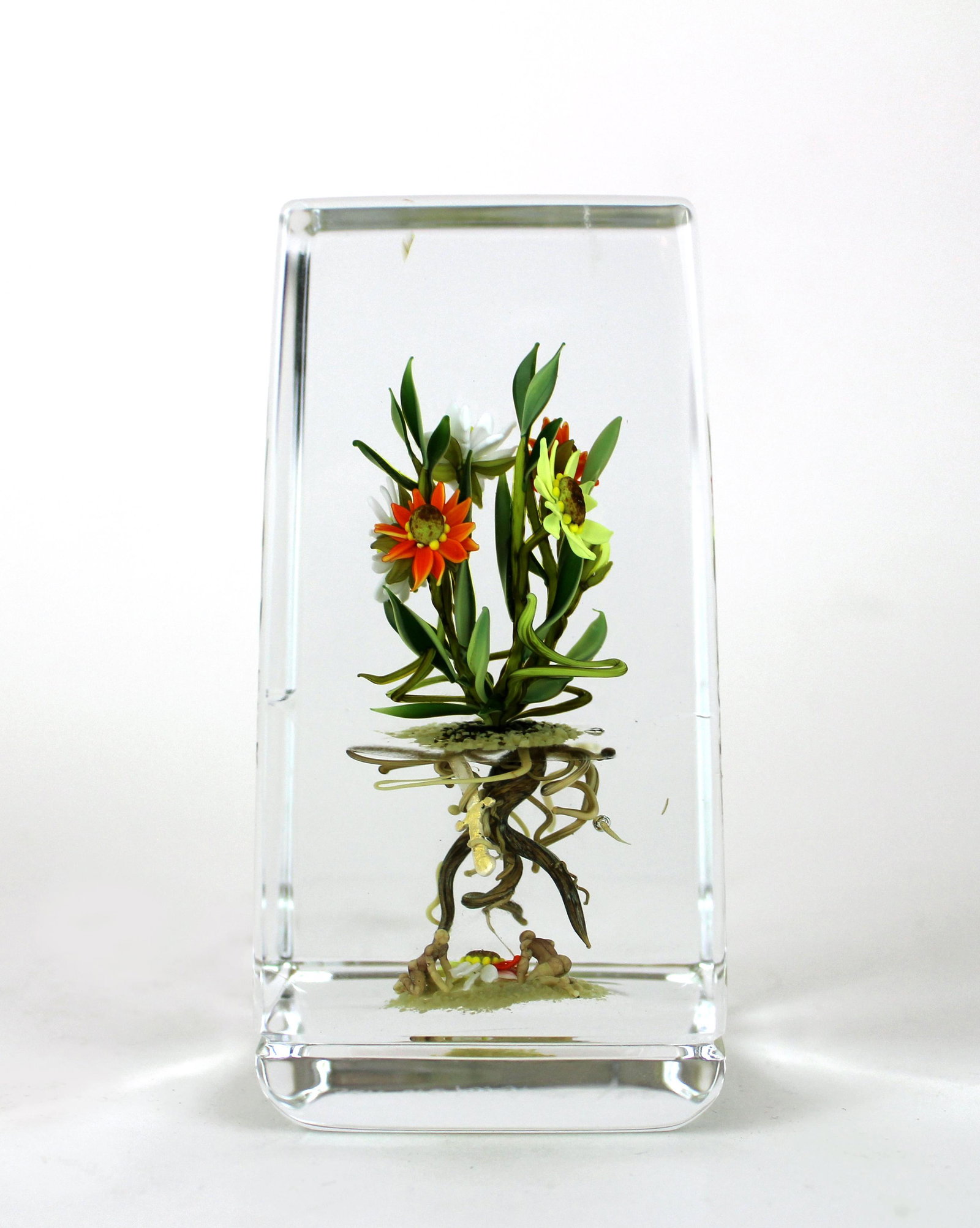 10 Daisies with Spirits D10 by Paul Stankard: 1989, Flame worked glass, 2 1/8 x 2 1/2 x 5 1/8 inches, Signed at base.