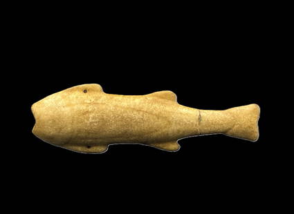Bronze Age Near Eastern Bactrian White Marble Stone Decorated Fish Figure: Nice Collection Probably Ancient Bactrian Fish Decorated Figure Engraved On Marble Stone.For more details, please feel free to reach out to our customer service team before placing a bid. We're happy