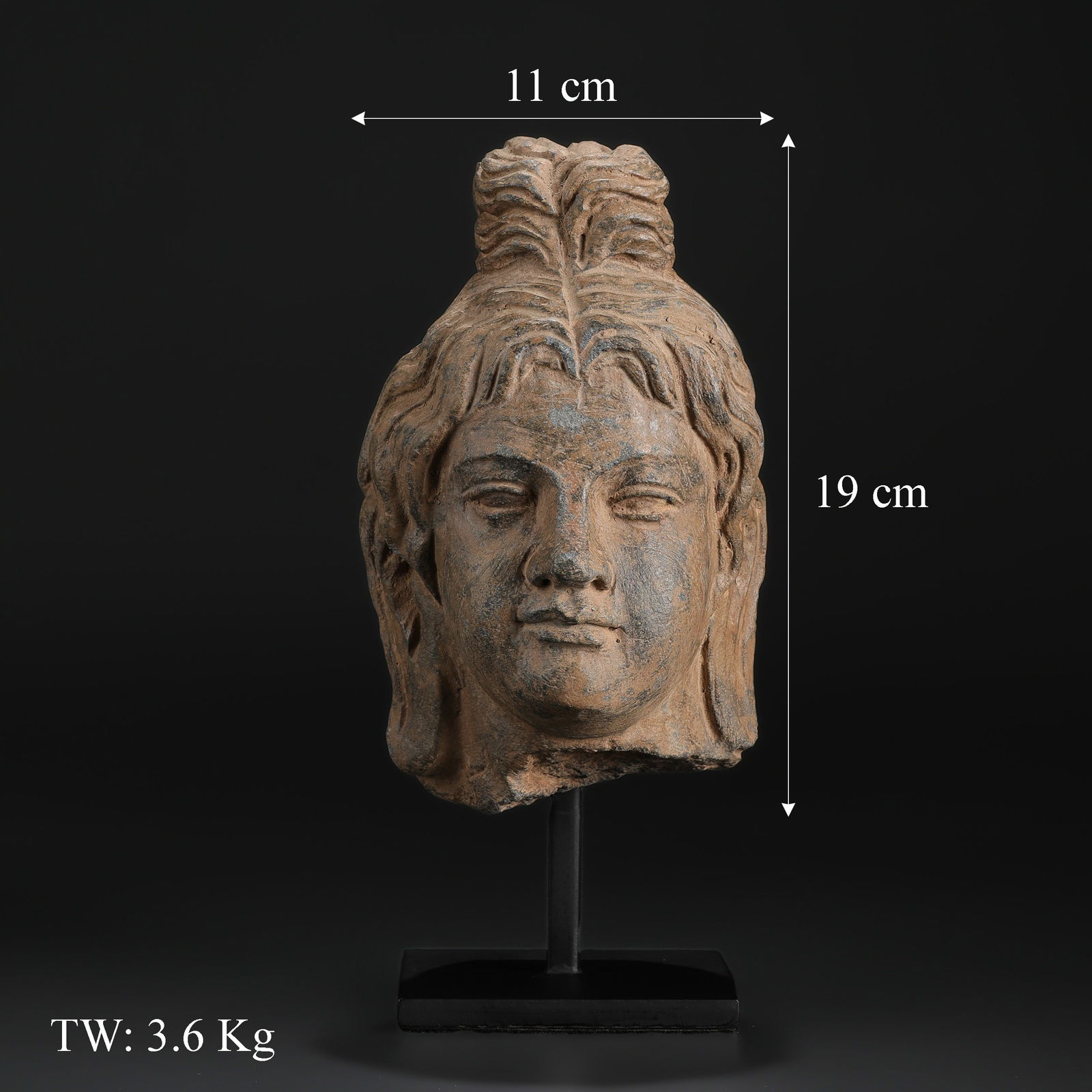Indo-Greek Gandhara Gray Schist Stone Head Sculpture - 5