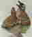 item-119771824=3