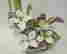item-119771830=2