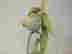 item-119771830=3