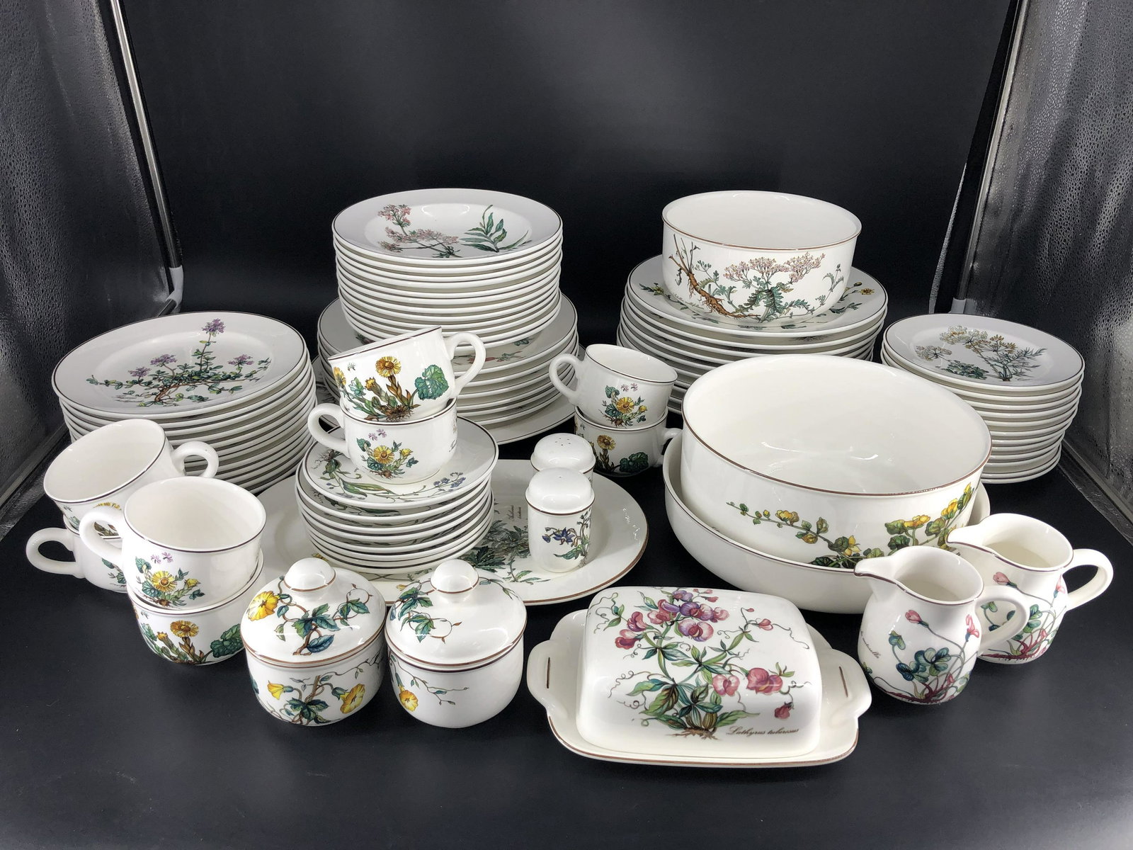 Lot of 80 Villeroy & Boch Botanica Porcelain Dish Set (1 of 20)