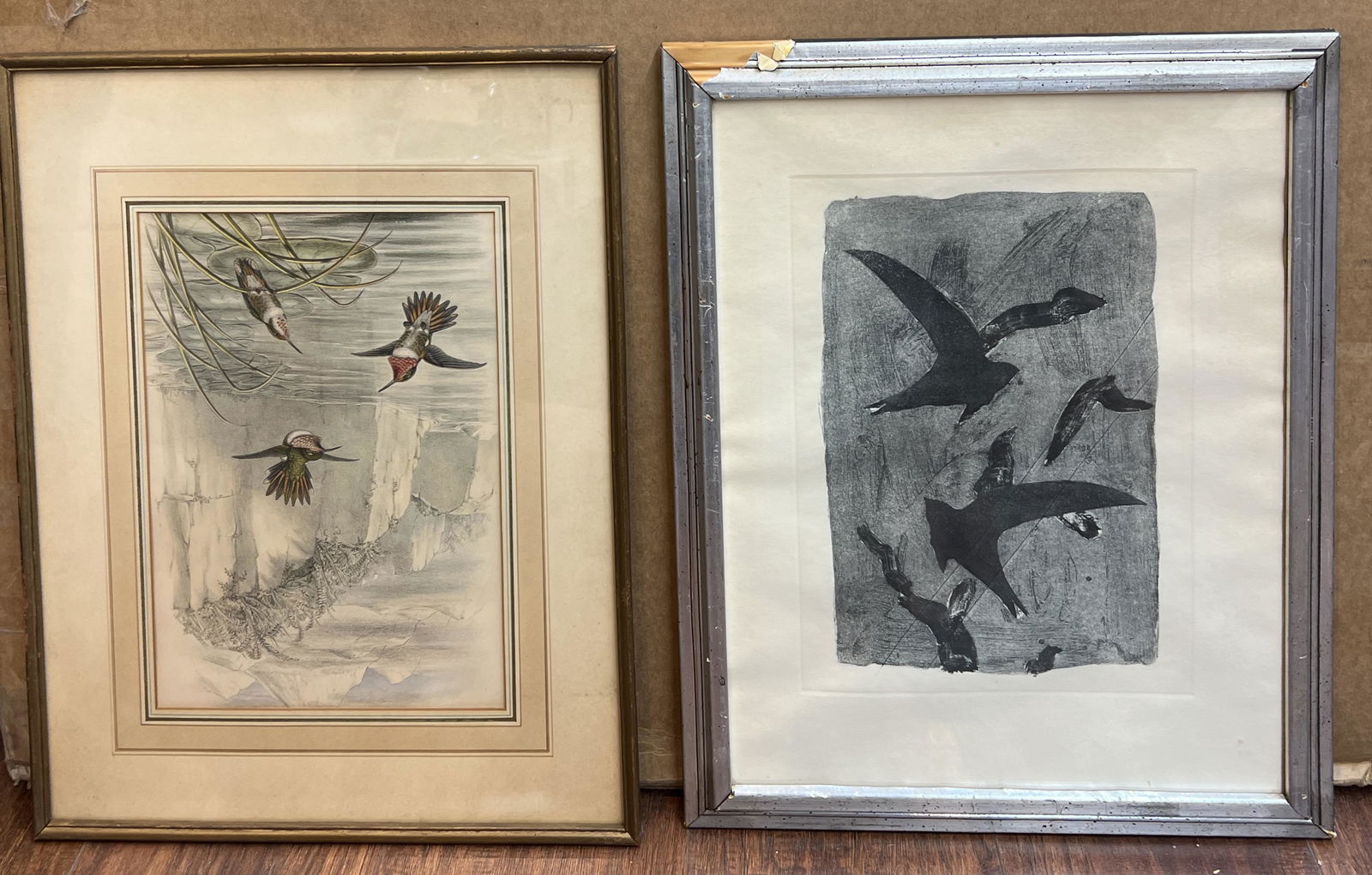 2 Bird Lithograph Prints Signed George Braque & J. Gould/W. Hart (1 of 5)
