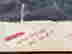 item-130990113=4