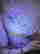item-130990140=15
