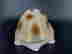 item-130990222=10