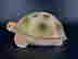 item-130990222=7