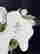 item-130990228=12