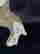 item-130990228=13