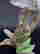 item-130990228=3