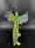 item-130990228=5