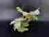 item-130990228=8