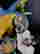 item-130990244=2
