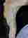 item-130990244=7