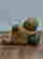 item-130990297=4