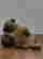 item-130990297=9