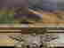 item-130990325=2