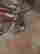 item-130990334=3
