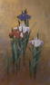 Kazutoshi Sugiura (Japanese, 1938-) Iris No. 76 Silkscreen