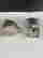 item-130990404=7