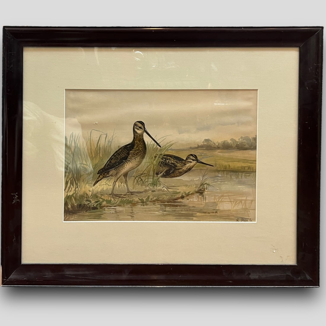 Antique Alexander Pope Jr. (American, 1849-1924) Birds Print (1 of 4)