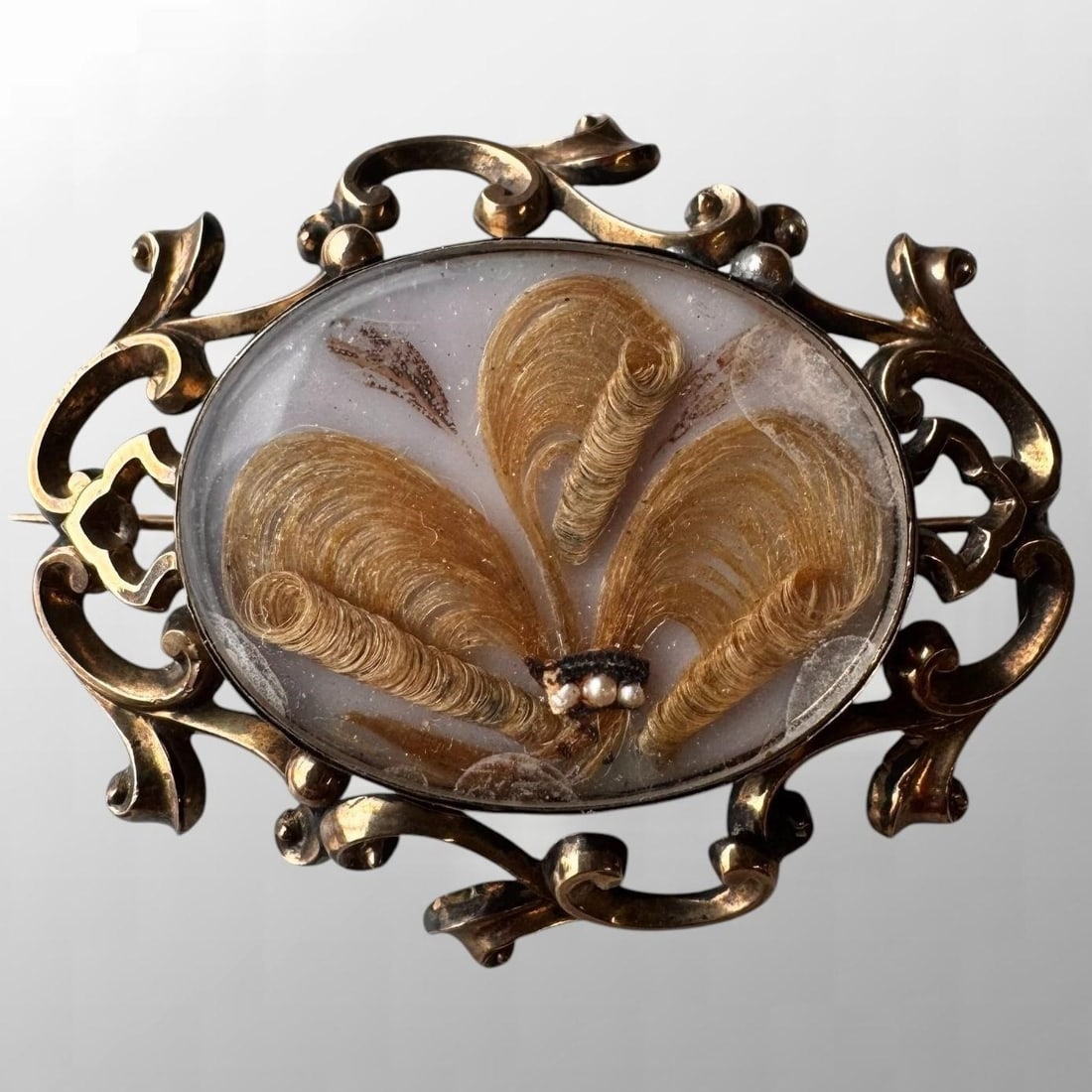Victorian 10k Gold Mourning Brooch with Hair & Pearls (1 of 7)