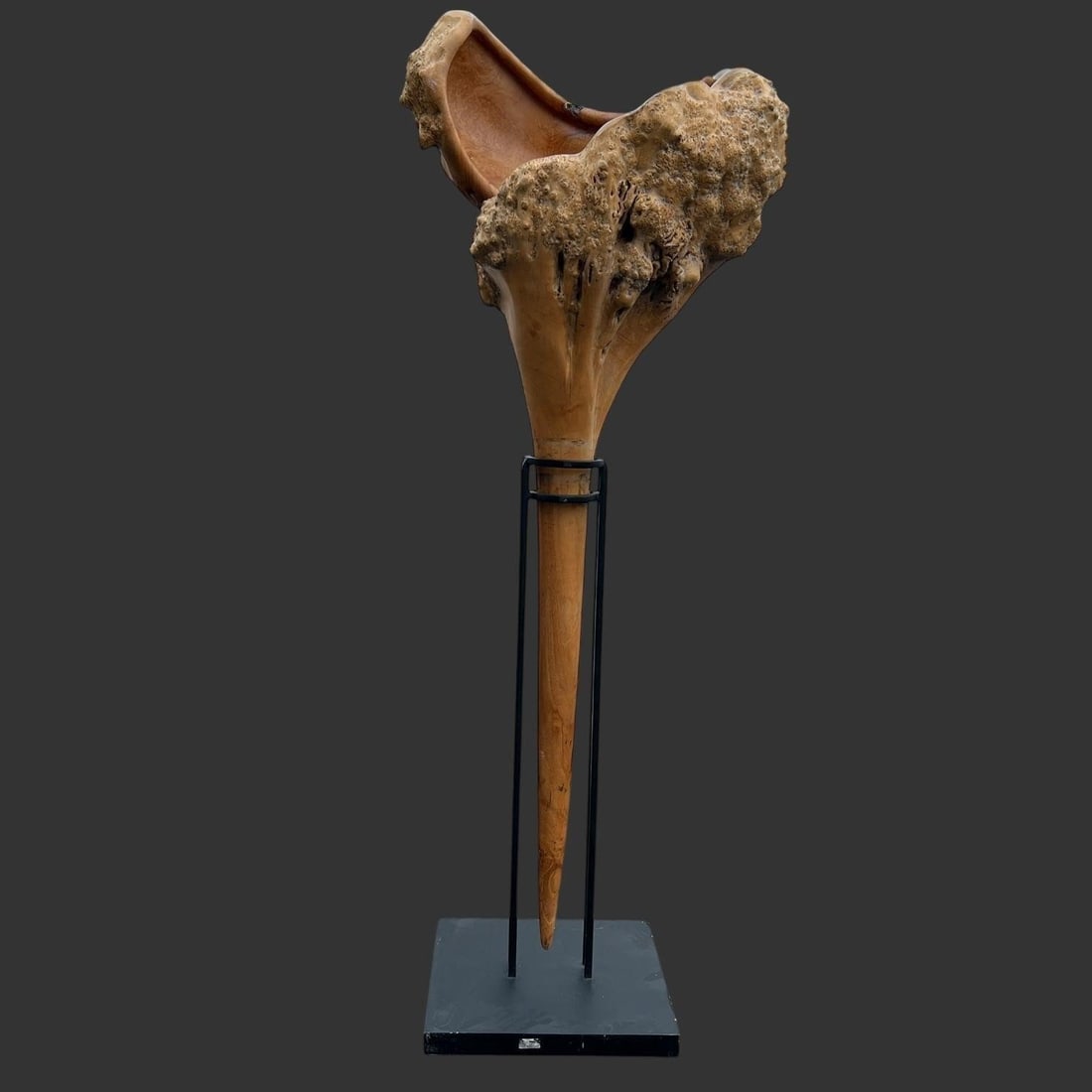 Natural Burl Driftwood Sculpture on Stand (1 of 10)